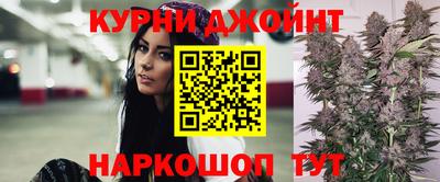 прущие грибы Краснодар