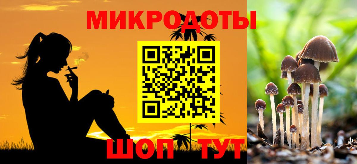 Кирово-Чепецк  Галлюциногенные грибы MAGIC MUSHROOMS  Вход с VPN  Галлюциногенные грибы прущие грибы 